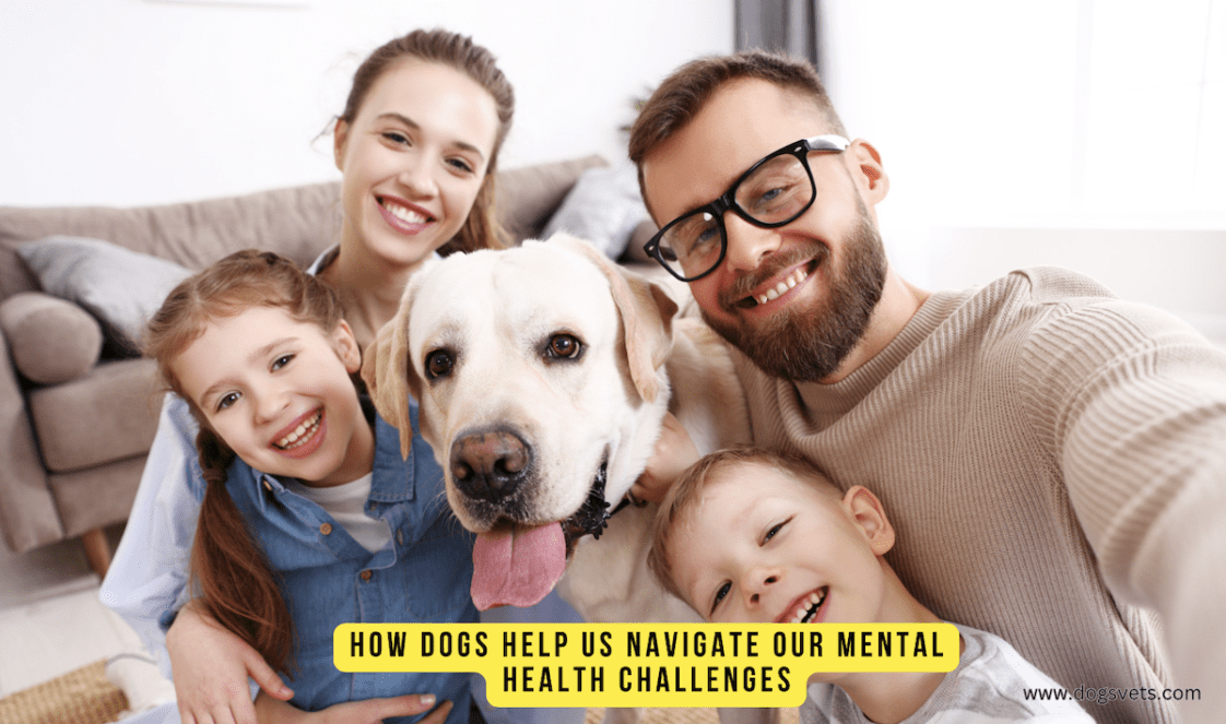 Canine comfort: How dogs help us navigate our mental health challenges